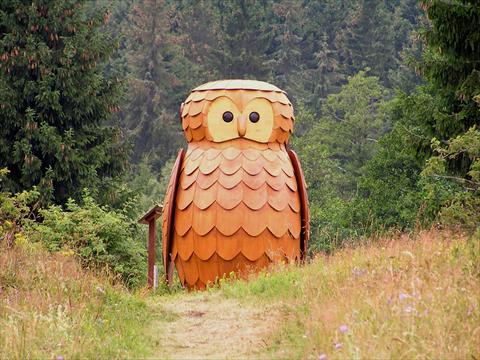 Huge owl