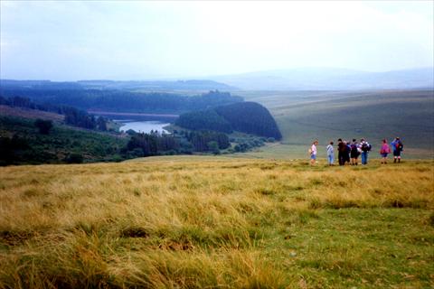 Hiking in the park