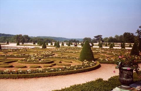 Versaille Gardens