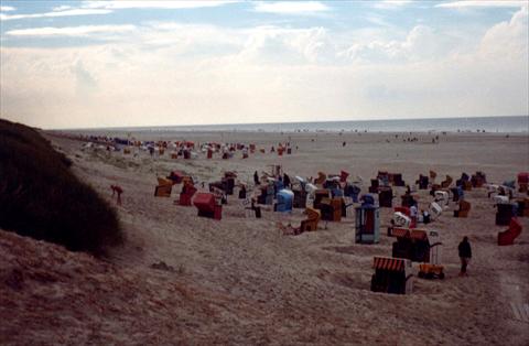 At the beach